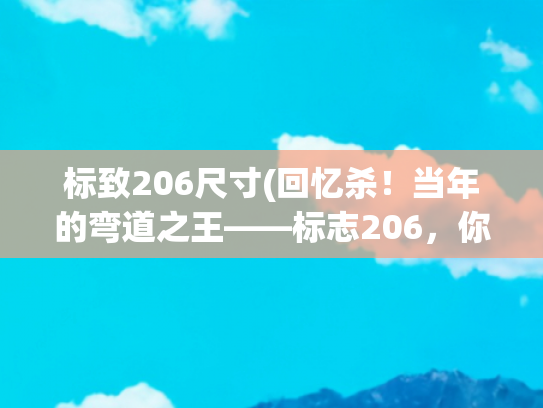 标致206尺寸(回忆杀！当年的弯道之王——标志206，你还记得吗？)