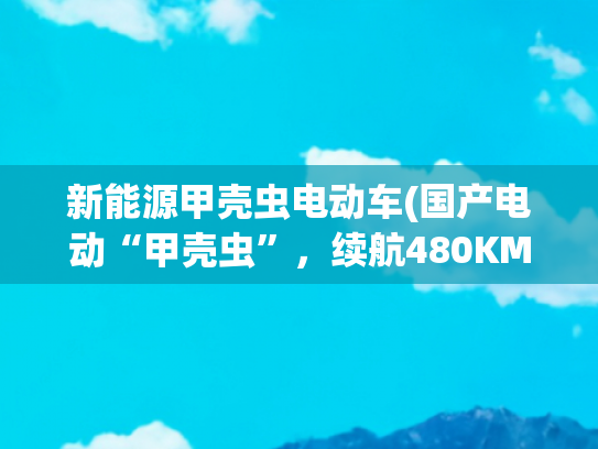 新能源甲壳虫电动车(国产电动“甲壳虫”，续航480KM，大空间低价带快充，欧拉好猫GT)