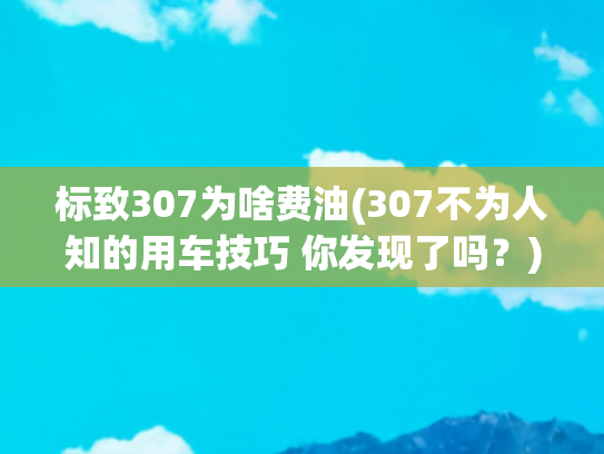 标致307为啥费油(307不为人知的用车技巧 你发现了吗？)