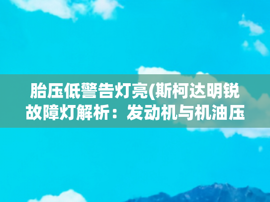 胎压低警告灯亮(斯柯达明锐故障灯解析：发动机与机油压力灯含义)