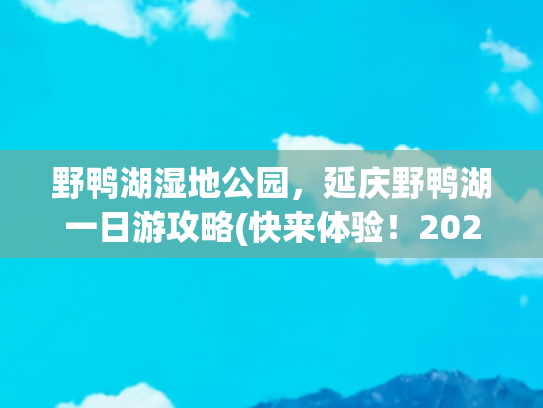 野鸭湖湿地公园，延庆野鸭湖一日游攻略(快来体验！2025，延庆冬日野鸭湖的N种玩法~)