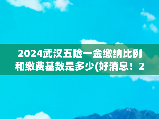 2024武汉五险一金缴纳比例和缴费基数是多少(好消息！2025年湖北省社保缴费基数变化小，灵活就业人员受益)