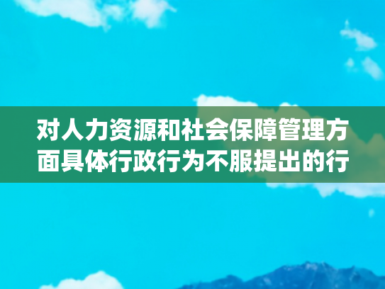 对人力资源和社会保障管理方面具体行政行为不服提出的行政复议办理（流程、材料、地点、费用、条件）(某装饰公司不服某区人力资源和社会保障局行政决定行政复议案)