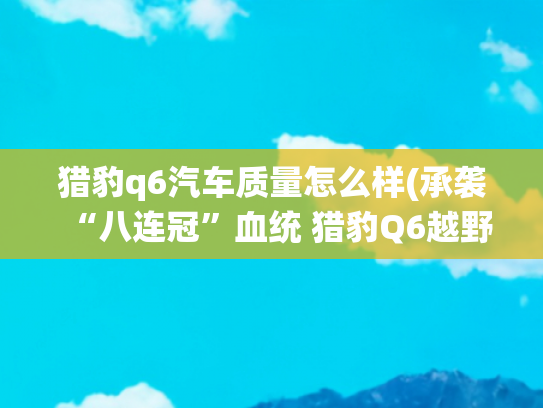猎豹q6汽车质量怎么样(承袭“八连冠”血统 猎豹Q6越野力解码)