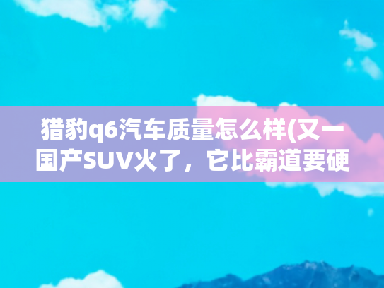 猎豹q6汽车质量怎么样(又一国产SUV火了，它比霸道要硬朗，11.99万起让途观黯然失色)