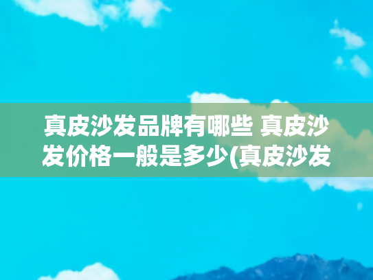 真皮沙发品牌有哪些 真皮沙发价格一般是多少(真皮沙发，买多少钱的靠谱？两三千的是真牛皮吗？能买吗？)