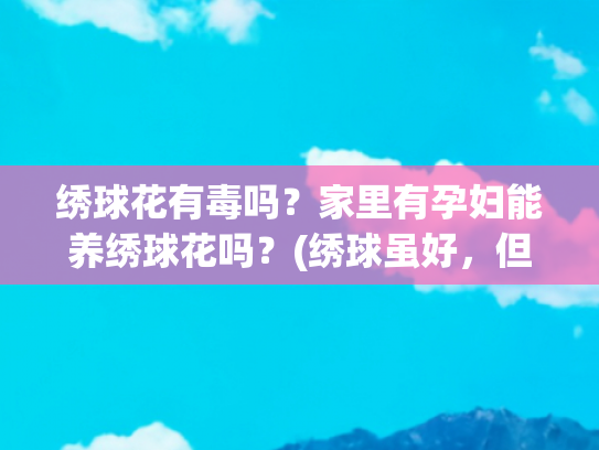 绣球花有毒吗？家里有孕妇能养绣球花吗？(绣球虽好，但这3种情况下不要摆放在室内，否则很“伤人”)