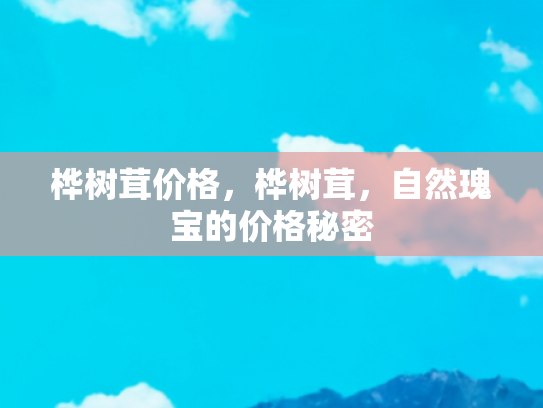 桦树茸价格，桦树茸，自然瑰宝的价格秘密