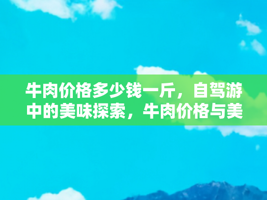 牛肉价格多少钱一斤，自驾游中的美味探索，牛肉价格与美食之旅