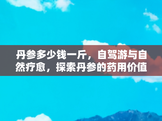 丹参多少钱一斤，自驾游与自然疗愈，探索丹参的药用价值与旅行中的健康秘诀