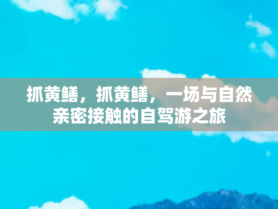 抓黄鳝，抓黄鳝，一场与自然亲密接触的自驾游之旅