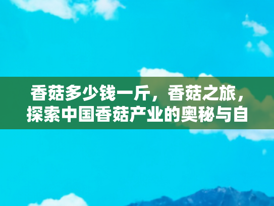 香菇多少钱一斤，香菇之旅，探索中国香菇产业的奥秘与自驾游的乐趣