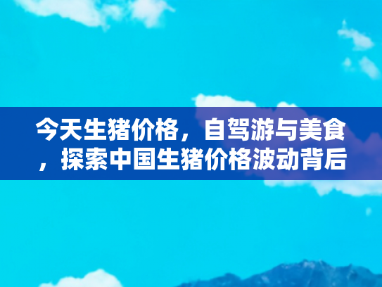 今天生猪价格，自驾游与美食，探索中国生猪价格波动背后的旅行故事