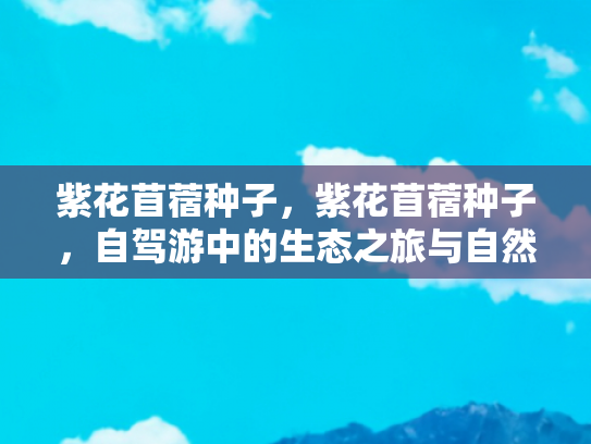 紫花苜蓿种子，紫花苜蓿种子，自驾游中的生态之旅与自然奇遇