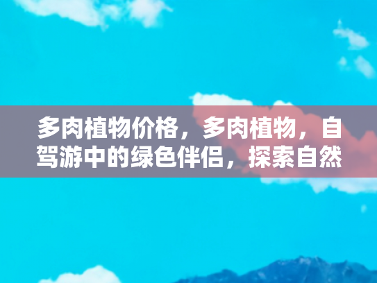 多肉植物价格，多肉植物，自驾游中的绿色伴侣，探索自然与经济的双重魅力