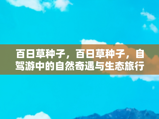百日草种子，百日草种子，自驾游中的自然奇遇与生态旅行新体验