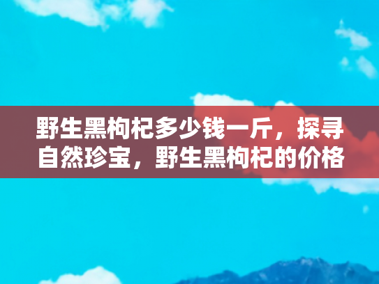 野生黑枸杞多少钱一斤，探寻自然珍宝，野生黑枸杞的价格与价值解析