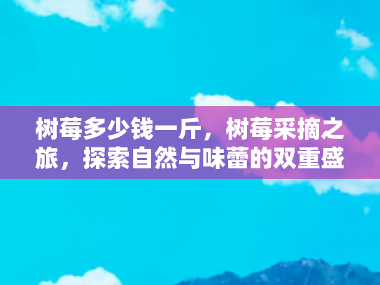树莓多少钱一斤，树莓采摘之旅，探索自然与味蕾的双重盛宴