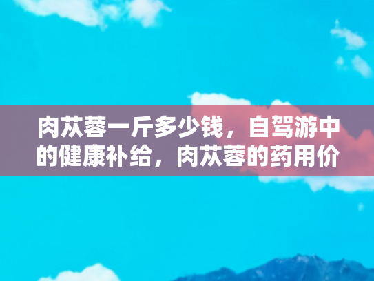 肉苁蓉一斤多少钱，自驾游中的健康补给，肉苁蓉的药用价值与市场价格解析
