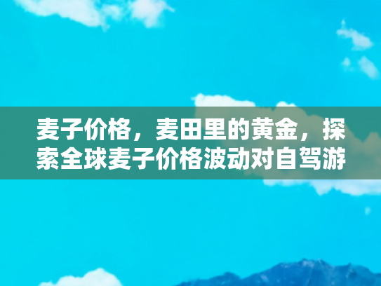 麦子价格，麦田里的黄金，探索全球麦子价格波动对自驾游的影响