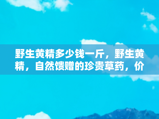 野生黄精多少钱一斤，野生黄精，自然馈赠的珍贵草药，价格与价值的双重考量