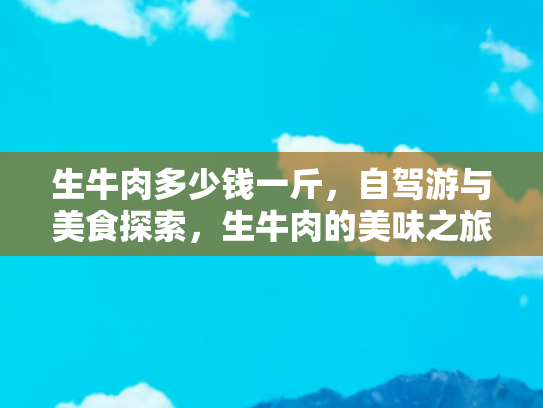 生牛肉多少钱一斤，自驾游与美食探索，生牛肉的美味之旅