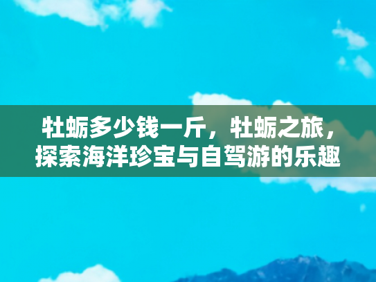 牡蛎多少钱一斤，牡蛎之旅，探索海洋珍宝与自驾游的乐趣
