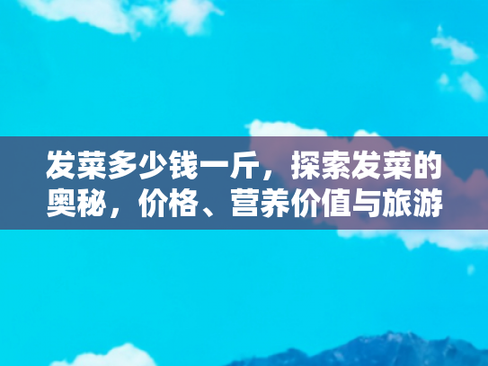 发菜多少钱一斤，探索发菜的奥秘，价格、营养价值与旅游中的美味体验