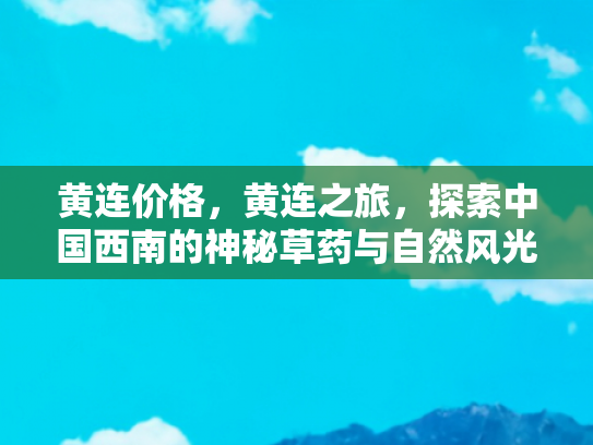 黄连价格，黄连之旅，探索中国西南的神秘草药与自然风光