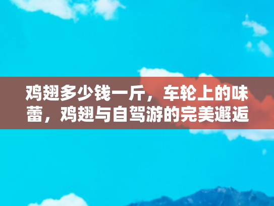 鸡翅多少钱一斤，车轮上的味蕾，鸡翅与自驾游的完美邂逅