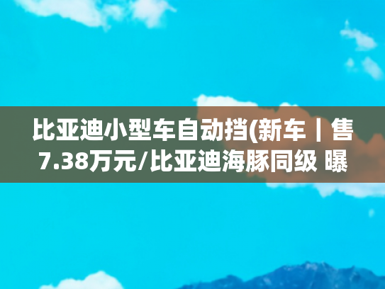 比亚迪小型车自动挡(新车｜售7.38万元/比亚迪海豚同级 曝广汽埃安AION UT 330星辉版实车)