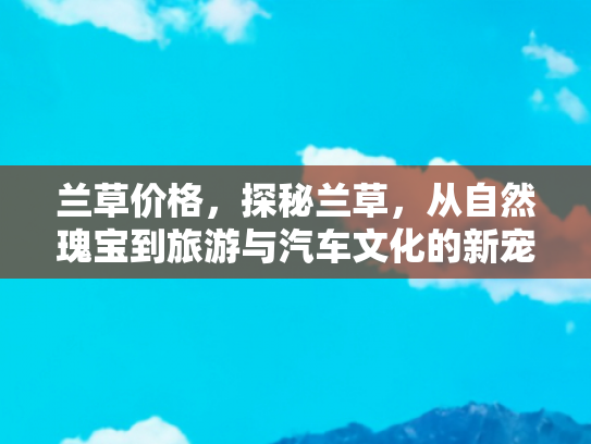 兰草价格，探秘兰草，从自然瑰宝到旅游与汽车文化的新宠