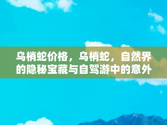 乌梢蛇价格，乌梢蛇，自然界的隐秘宝藏与自驾游中的意外惊喜