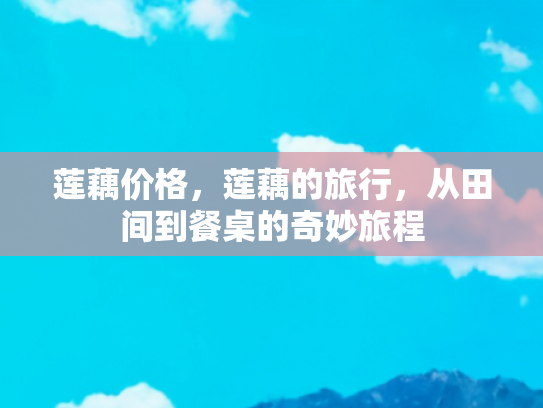 莲藕价格，莲藕的旅行，从田间到餐桌的奇妙旅程