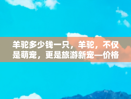 羊驼多少钱一只，羊驼，不仅是萌宠，更是旅游新宠—价格、养护与旅行中的羊驼