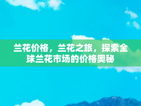 兰花价格，兰花之旅，探索全球兰花市场的价格奥秘