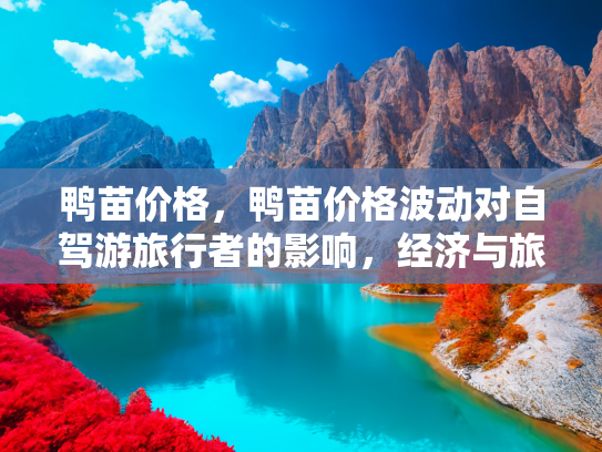 鸭苗价格，鸭苗价格波动对自驾游旅行者的影响，经济与旅游的双重考量