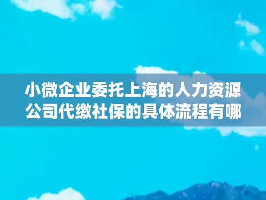 小微企业委托上海的人力资源公司代缴社保的具体流程有哪些(上海社保代缴哪家好？5 家正规公司推荐 + 挑选攻略)