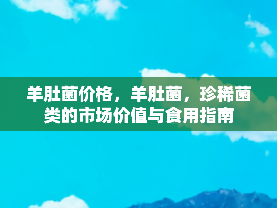 羊肚菌价格，羊肚菌，珍稀菌类的市场价值与食用指南