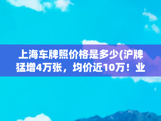 上海车牌照价格是多少(沪牌猛增4万张，均价近10万！业内人士：先拍，不要还能转手卖)