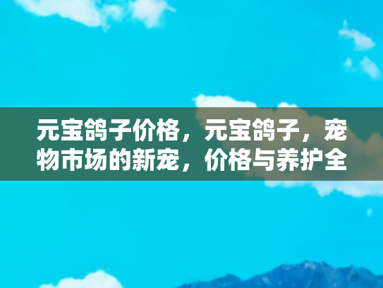 元宝鸽子价格，元宝鸽子，宠物市场的新宠，价格与养护全解析