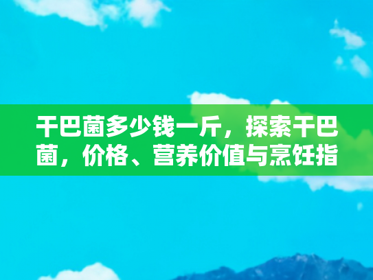 干巴菌多少钱一斤，探索干巴菌，价格、营养价值与烹饪指南