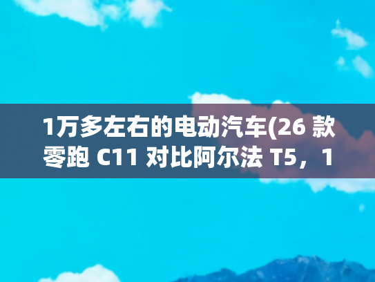 1万多左右的电动汽车(26 款零跑 C11 对比阿尔法 T5，15 万级新能源 SUV 谁更适合家庭用户？)