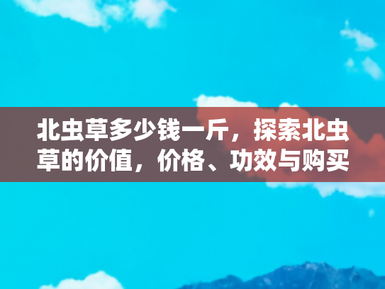 北虫草多少钱一斤，探索北虫草的价值，价格、功效与购买指南