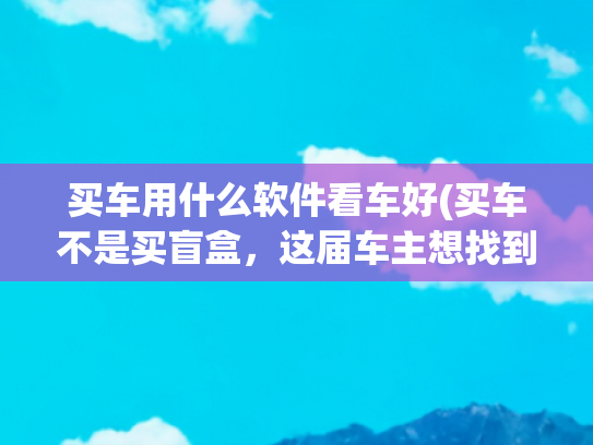 买车用什么软件看车好(买车不是买盲盒，这届车主想找到一辆更靠谱的电车)