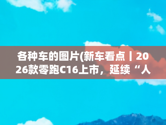 各种车的图片(新车看点丨2026款零跑C16上市，延续“人无我有”模式)