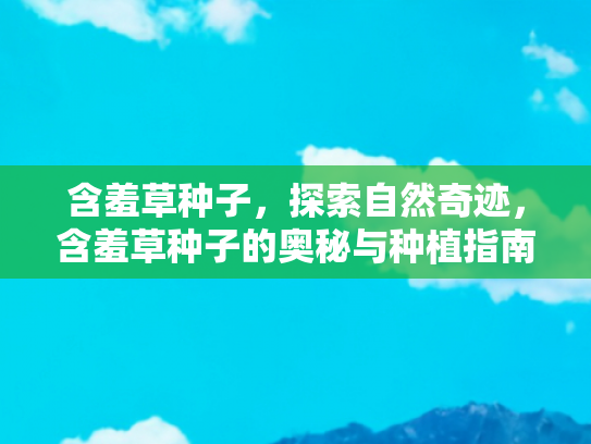 含羞草种子，探索自然奇迹，含羞草种子的奥秘与种植指南