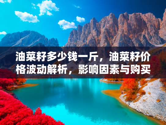 油菜籽多少钱一斤，油菜籽价格波动解析，影响因素与购买指南