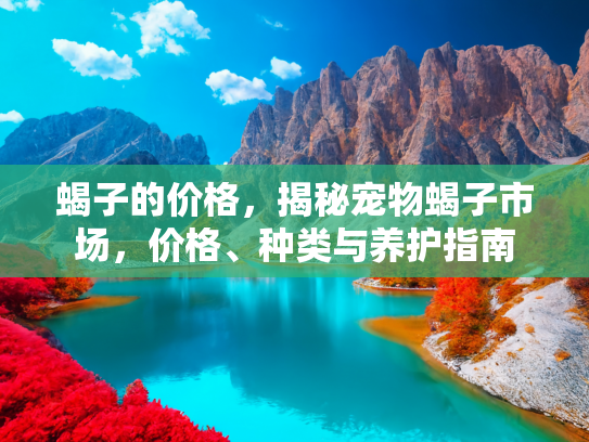 蝎子的价格，揭秘宠物蝎子市场，价格、种类与养护指南