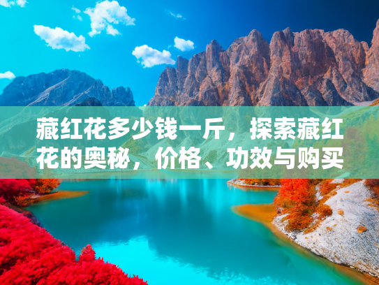 藏红花多少钱一斤，探索藏红花的奥秘，价格、功效与购买指南